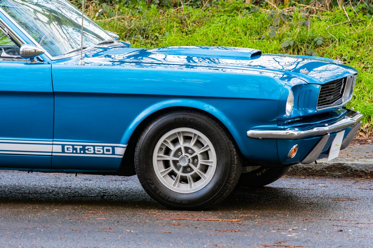 Used Ford Shelby Mustang GT 350 for Sale at Simon Furlonger