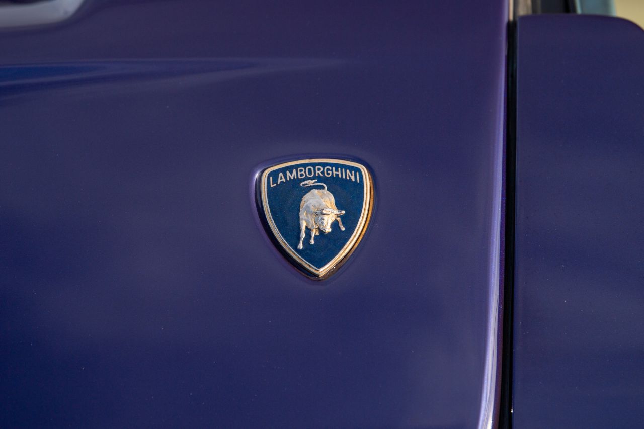 Used Lamborghini Diablo SV Roadster  for Sale at Simon Furlonger